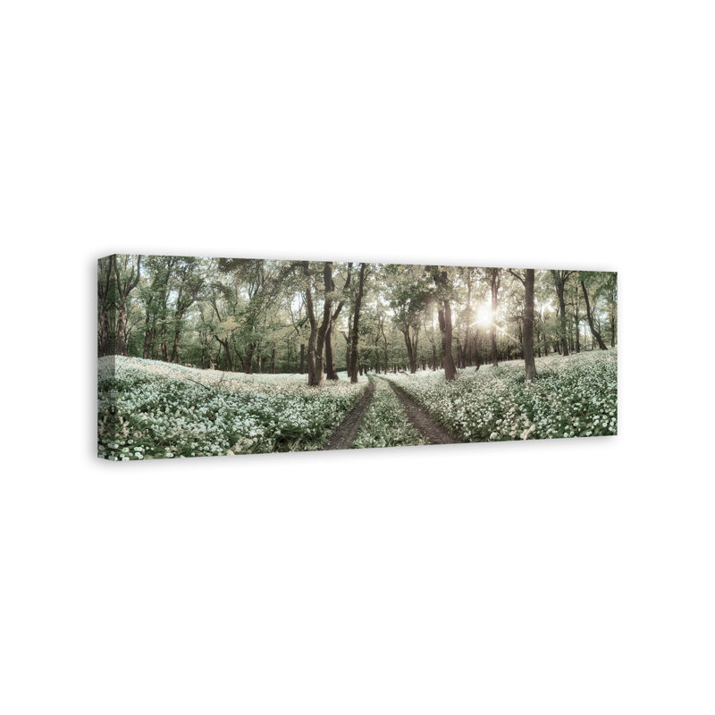 Forest Horizon Path Canvas Print