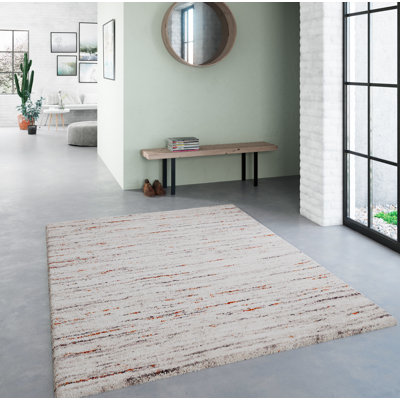 Enkhtuya Abstract Shag Area Rug