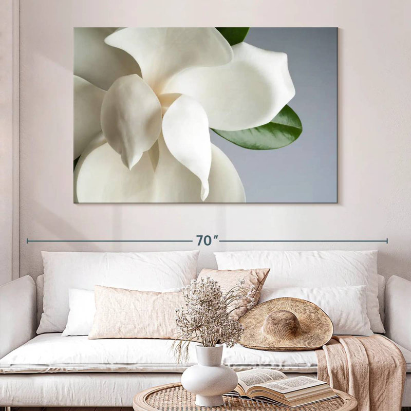 Magnolia blanc Harnek, H 34 po x l 51 po