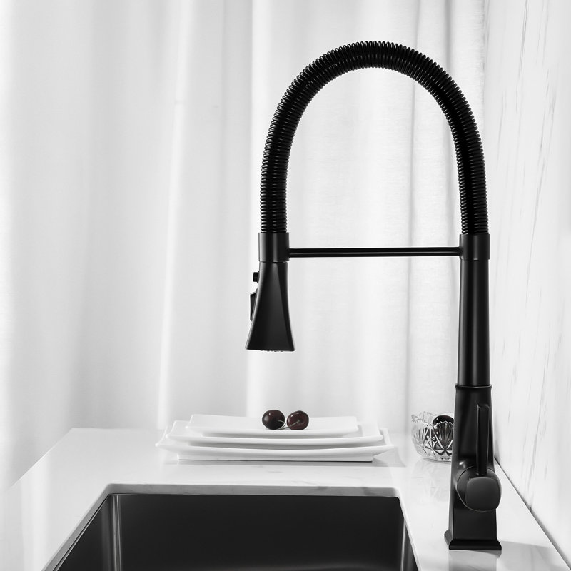 Robinet de cuisine avec douchette extractible