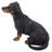 Dachshund Statue