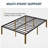 Aruna Bed