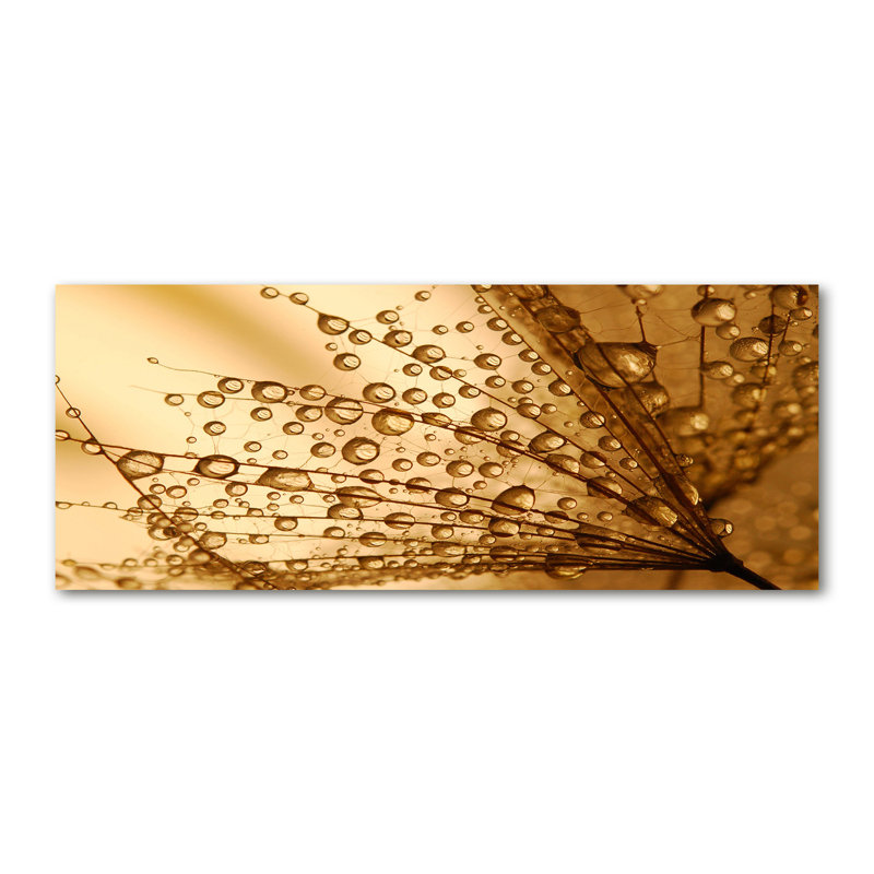 Dandelion seeds 1 Piece Wrapped Canvas Wall Art