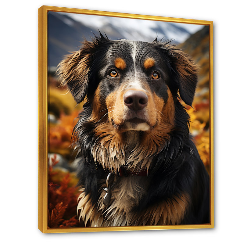 Bernese Mountain Majesty III, Cadre flottant doré, H 32 po x l 16 po x P 1 po