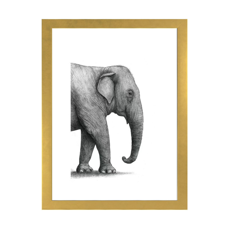 «Elephant Study» par Terry Fan - impression, Papier encadré doré, Blanc, H 24 po x l 16 po x P 1 po