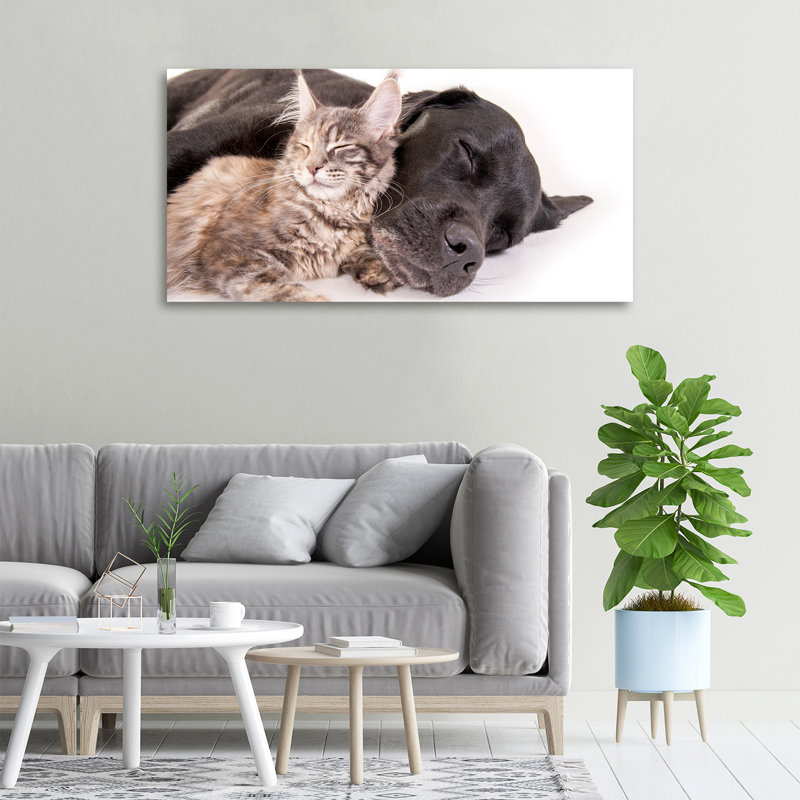 Dog With A Cat - No Frame Print on Canvas