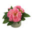 Dahlia Arrangement-384965330