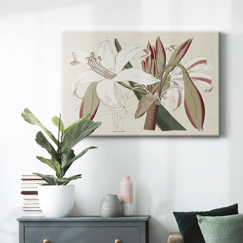 Amaryllis Varietals II-Gallery, toile tendue, H 32 po x l 48 po