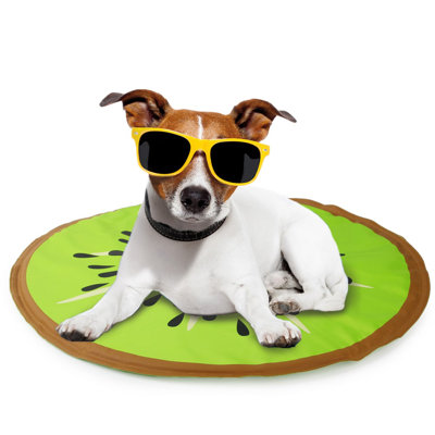 Felisbela Vinyl Pet Bed