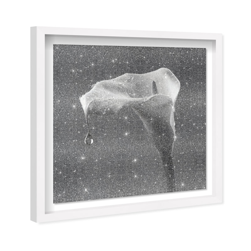 Midnight Rain Shadowbox Floral & Botanical Print by Oliver Gal, Black Frame, 12 x 12, 21.5"H x 21.5"W, White Shadowbox