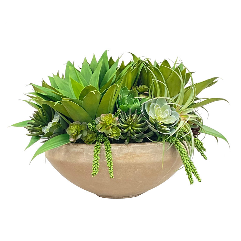 32 " H Faux Succulent in Fiberstone Pot