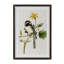 Summer Bird Framed Prints
