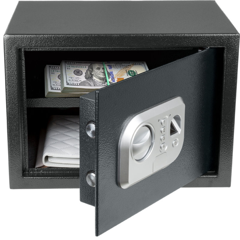 Stalwart Electronic Safe - Digital Biometric Fingerprint Lock Box with Override Keys - Business or Home Safe for Jewelry, Cash, and More