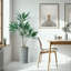 66 plantes-97701041