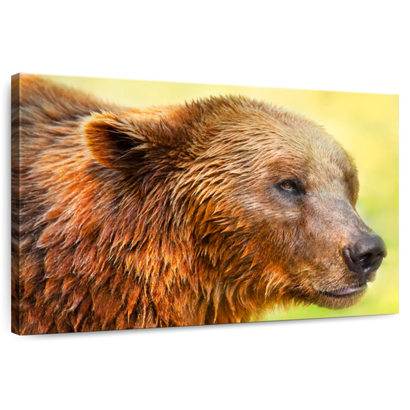 Brampt Cute Bear II, 24" H x 36" W