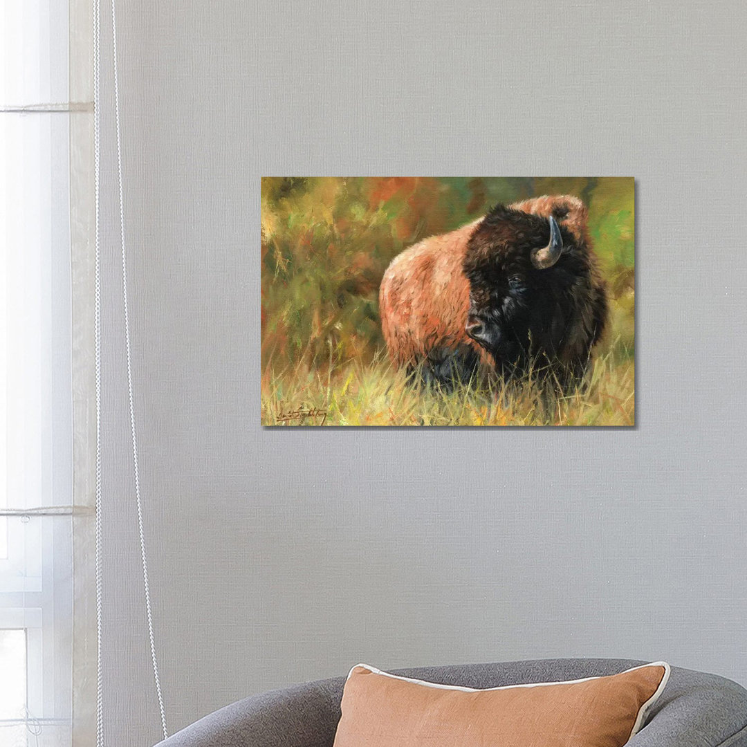 Bison I von David Stribbling - Galerie-verpackte Leinwand Giclée auf Leinwand