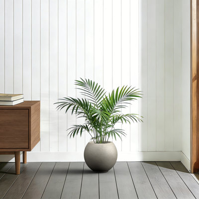 11 in. Medium Stone Gray Concrete Round Planter / Pot with Upgraded Interior with Drainage Holes for Indoor & Outdoor