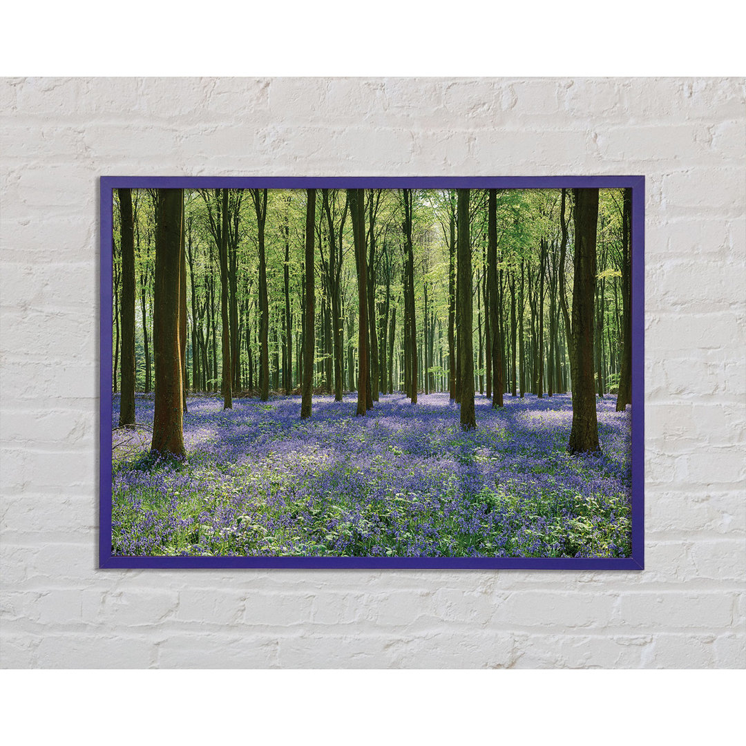 Mystical Bluebell Woodland - Einzelner Bilderrahmen Kunstdrucke