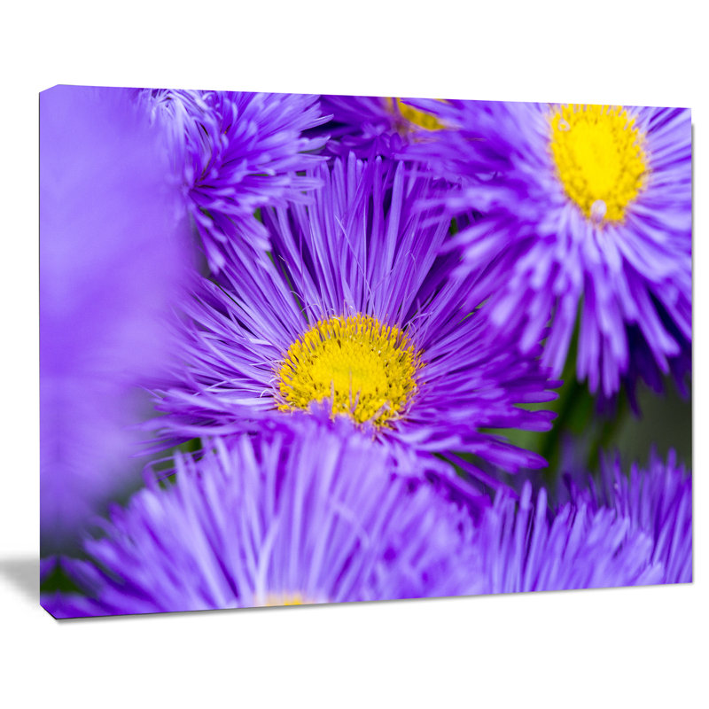 Reproduction de photo sur toile tendue grande fleur de fleurs violettes, H 20 po x l 20 po x P 1 po
