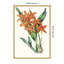 «Tropicals IV» par Jennifer Paxton Parker, reproduction d'art sur toile encadrée-112654999
