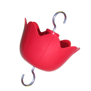 Mangeoire à colibri