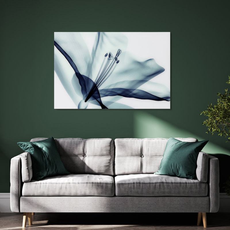 Amaryllis - Reproduction d'art graphique sur verre