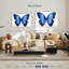 Papillon bleu cosmique-107668317