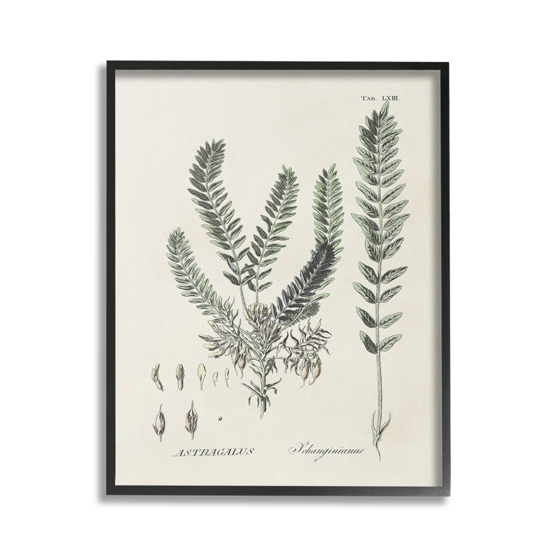 ForêtFeuilles, H 20 po x l 16 po, Giclée encadrée noir minuit