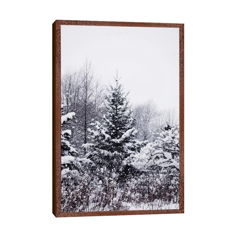 Winter Pines by Chelsea Victoria - Print on Canvas, Brown Floater Framed, 101.6 cm H x 66.04 cm W