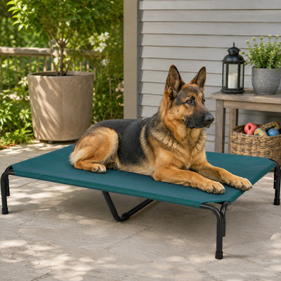 Lit de camp surélevé vert de 150 cm (59 po) pour chien, taille XXXL, avec plateforme surélevée à cadre métallique, filet rafraîchissant lavable et hamac résistant aux morsures, idéal pour l'entraînement, une utilisation à l'extérieur et le camping.