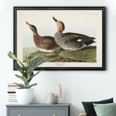 " Galdwell Duck "