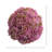 Decorative Sedum Balls-1711557617