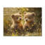 Oursons jouant dans la prairie - Impression sur bois d'ours - sur bois de pin naturel-102736163