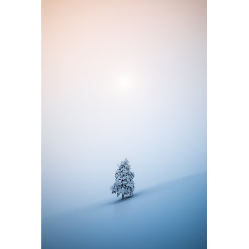 Christmas Tree - Wrapped Canvas Print, 91cm H x 61cm W x 3.8cm D