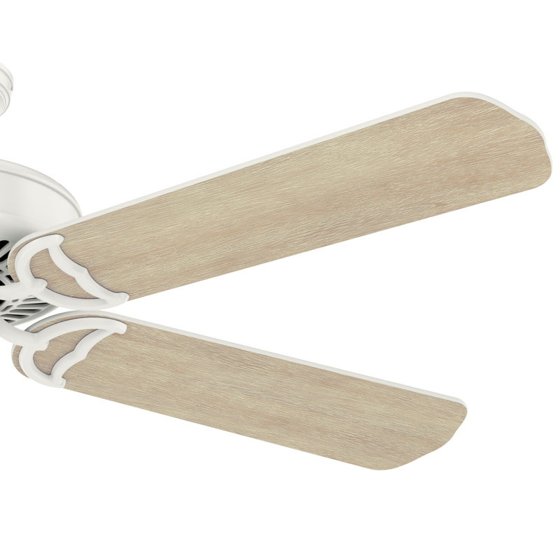 54" Panama 5 - Blade Standard Ceiling Fan with Wall Control, White