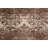 Anyce Floral Indoor Rug-1877216758