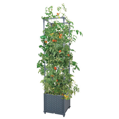 Raised Garden Bed Planter Boxes With Trellis For Climbing Vegetables Plants Tomato Cage