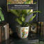 Satsuma Ceramic Planter-1963310354