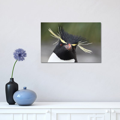 " Rockhopper Penguin " by Elmar Weiss