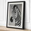 Zebra Profile Modern - Wrapped Canvas-534395451-534395460