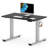 Dojtcho Home Office Adjustable Standing Desk-62270598-113909856