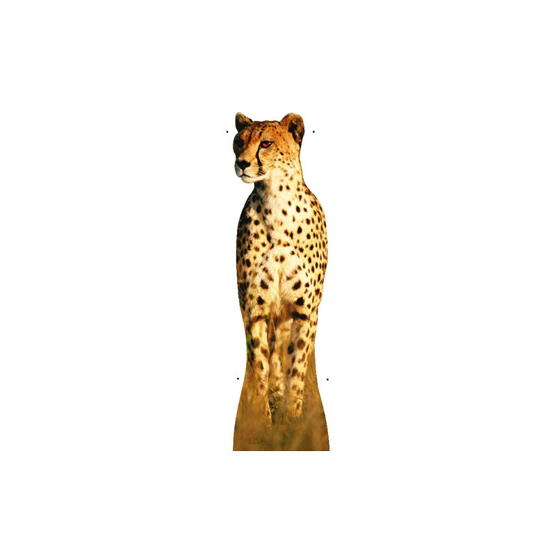 Cheetah taille debout en carton taille réelle