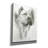 'Dynamic' by Barbara Keith, Canvas Wall Art-1500816990