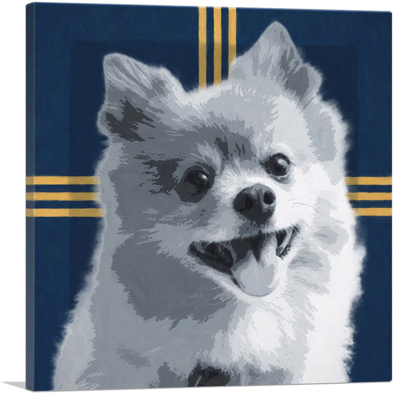 «Pomeranian Dog Breed», reproduction d'art sur toile tendue, H 18 po x l 18 po x 1,5 po