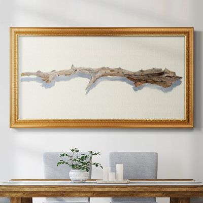 Driftwood Study I " Driftwood Study I "