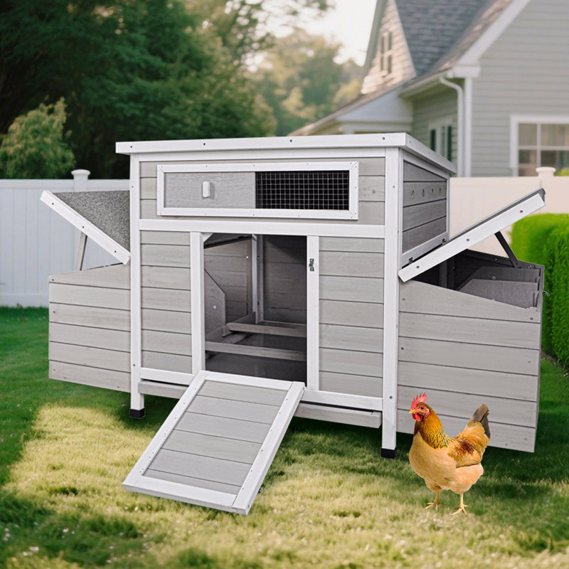 Grande cage à poules pour poulailler d'extérieur avec 2 boîtes de nidification