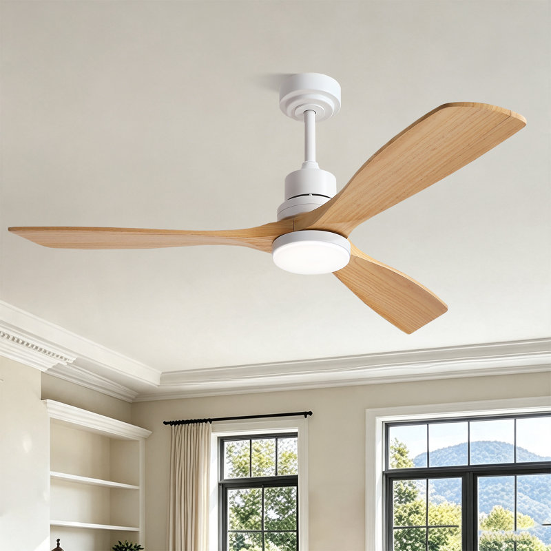 Ventilateur de plafond à 3 pales pleines de 52 pouces avec kit d'éclairage DEL et télécommande, Blanc