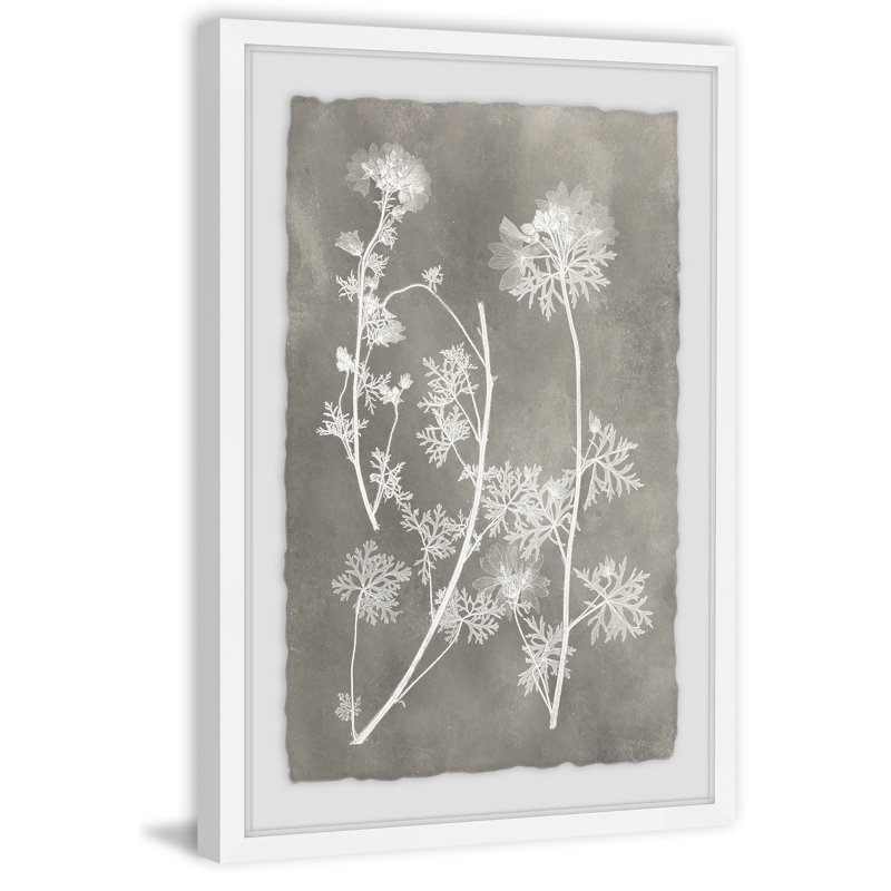 Vintage Plant Study I by Marmont Hill - Single Picture Frame Print, 91 cm H x 61 cm W x 4 cm D