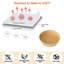 Accessoire de friteuse Gustave