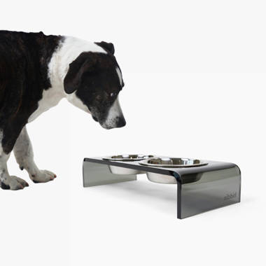 Acrylic Elevated Pet Feeder, Double Bowl, Raised Stand Comes, Dog
